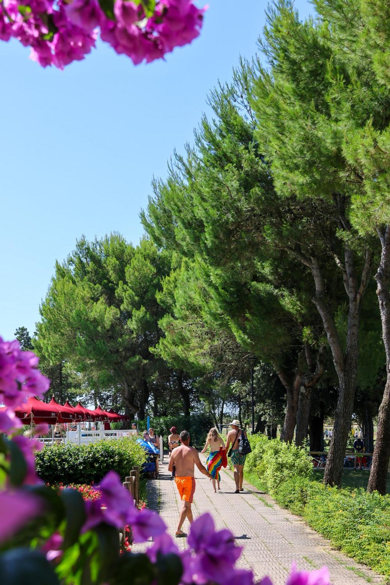 Il Tridente Hotel Bibione Eksteriør billede