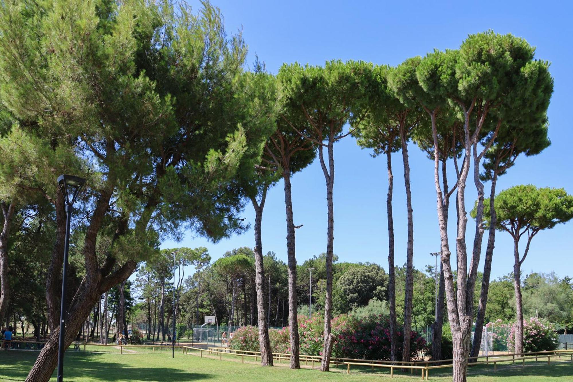 Il Tridente Hotel Bibione Eksteriør billede